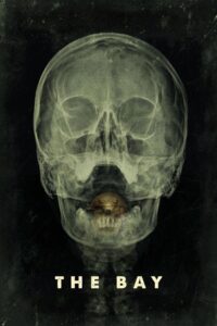 Залив (2012)