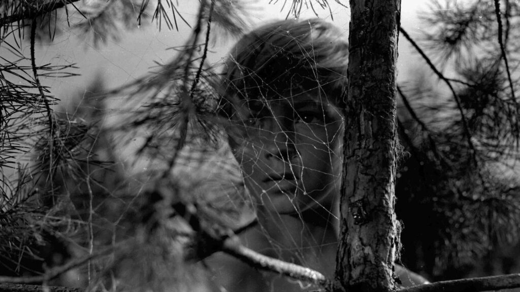 Кадр из фильма «Иваново детство (1962)»