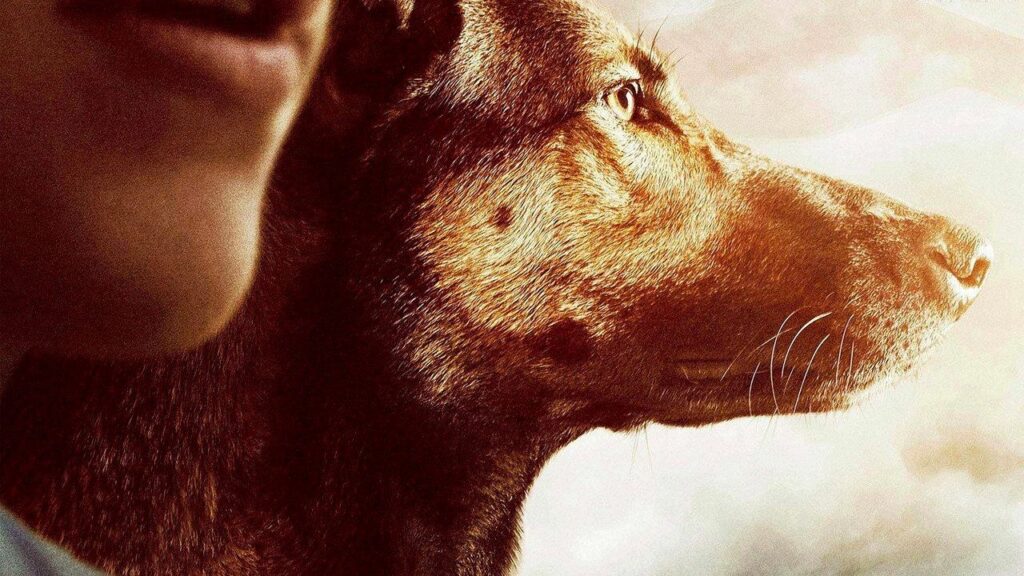 Кадр из фильма «Макс (2015)»