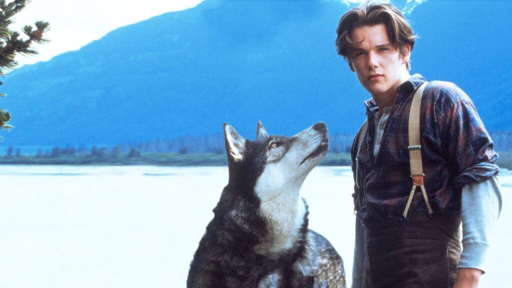 Кадр из фильма «Белый клык (1991)»
