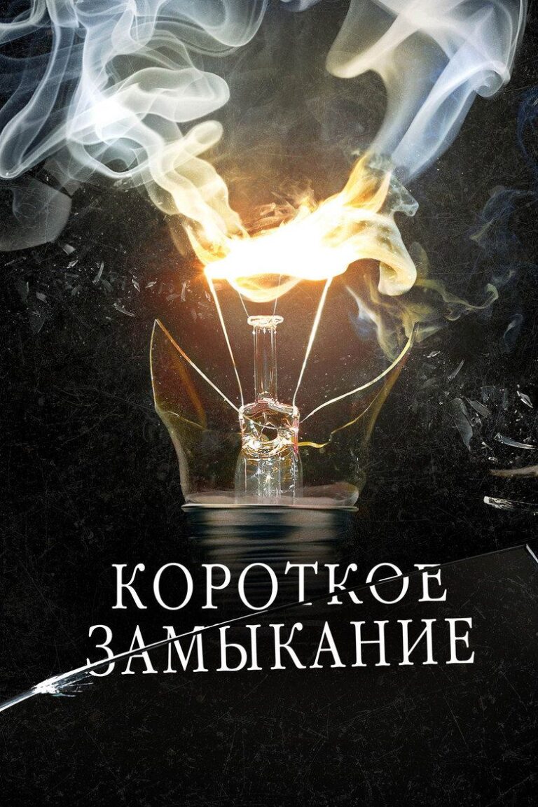 Короткое замыкание (2009)