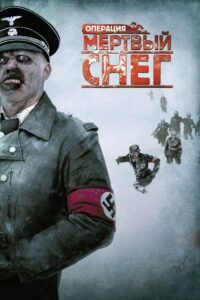 Операция «Мёртвый снег» (2009)