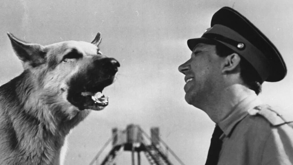 Кадр из фильма «Ко мне, Мухтар! (1964)»