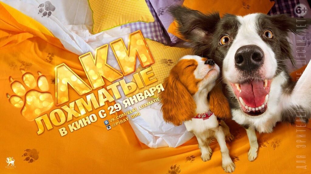 Кадр из фильма «Ёлки лохматые (2015)»