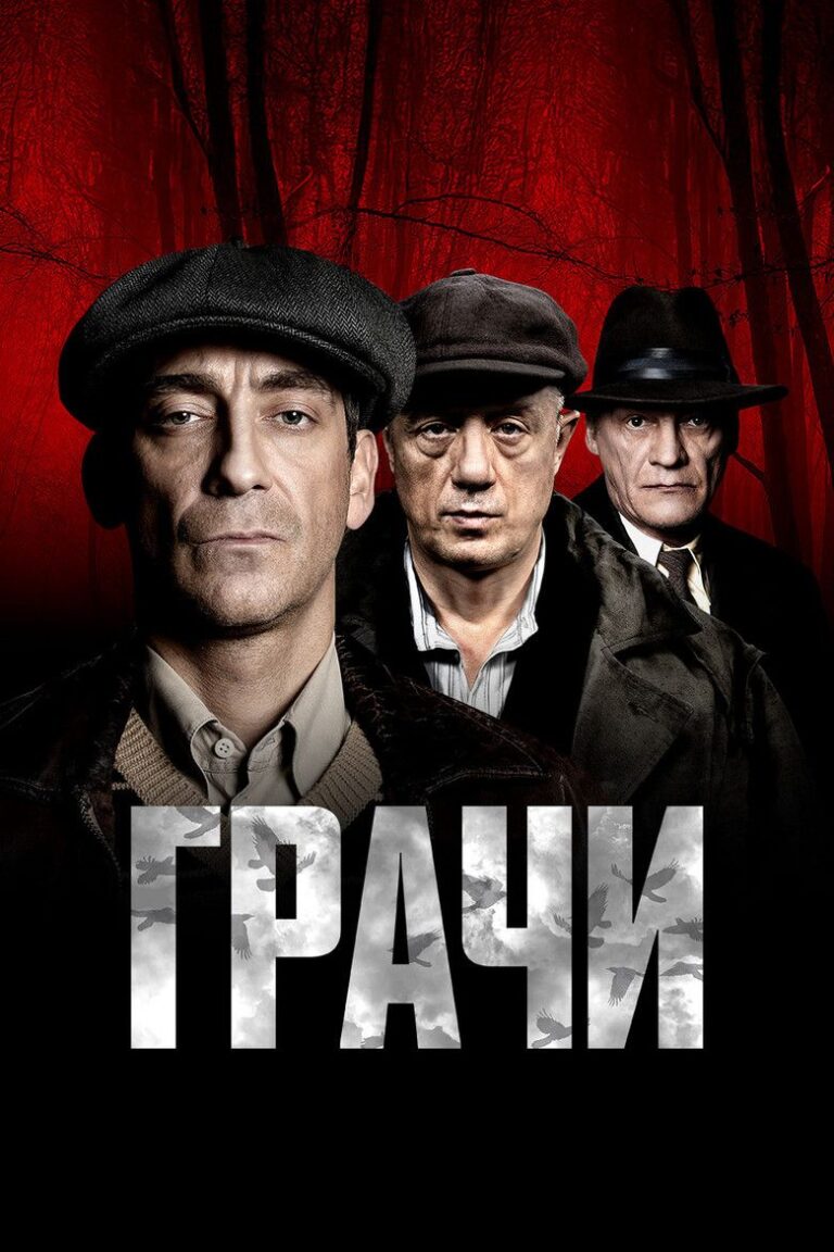 Грачи (2026)