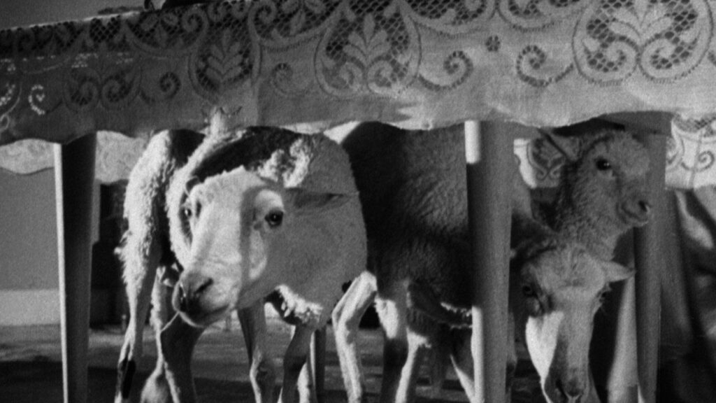 Кадр из фильма «Ангел-истребитель (1962)»